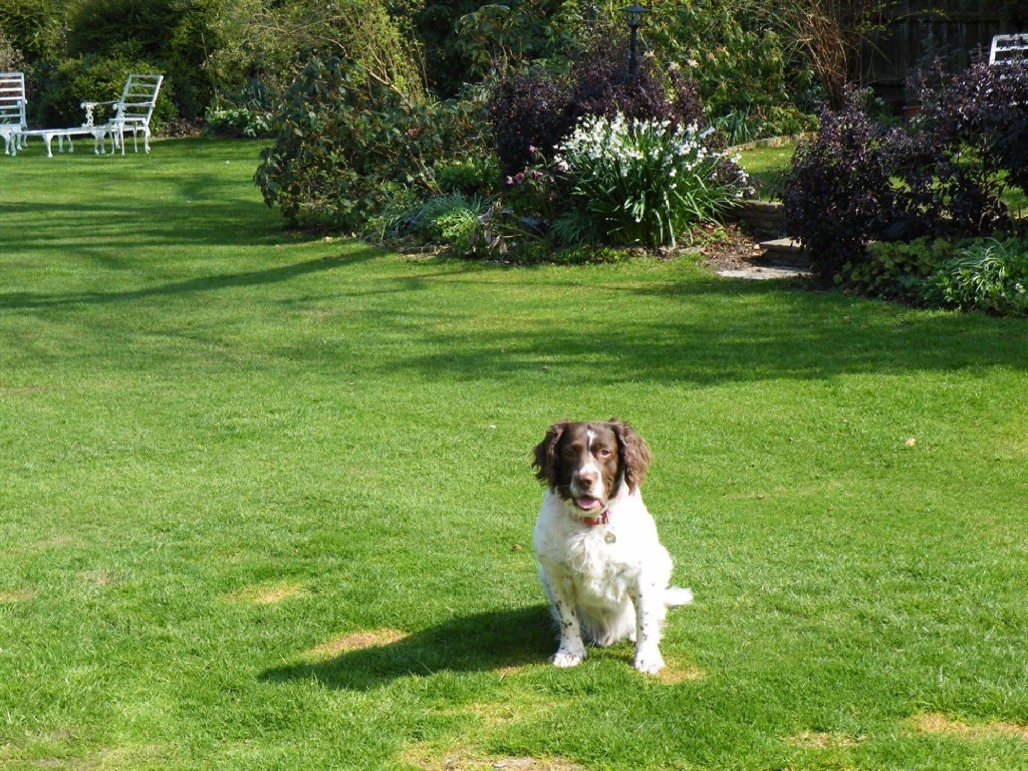 Bed and Breakfast Broadlands Gate Brockenhurst Exteriér fotografie