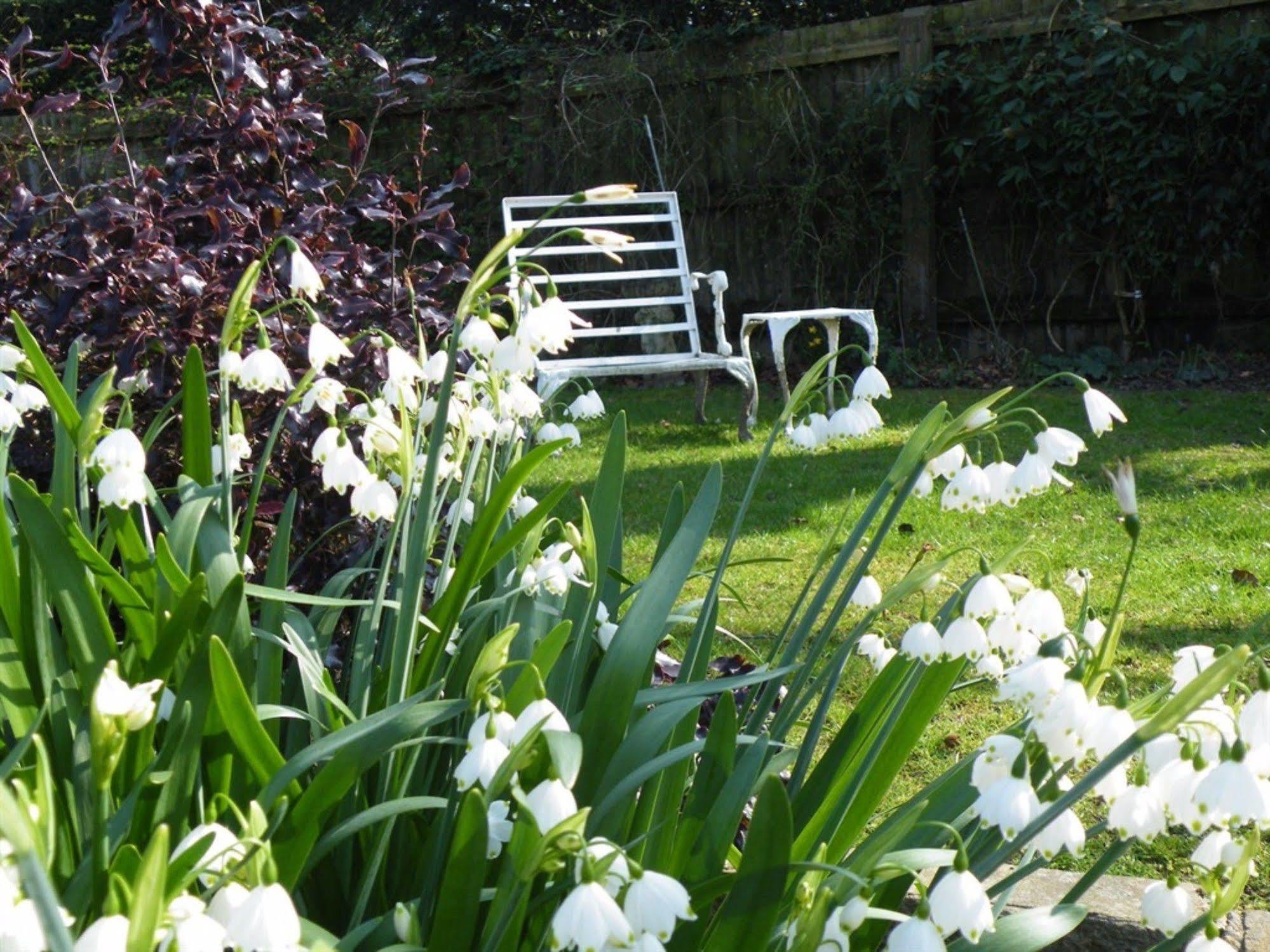 Bed and Breakfast Broadlands Gate Brockenhurst Exteriér fotografie